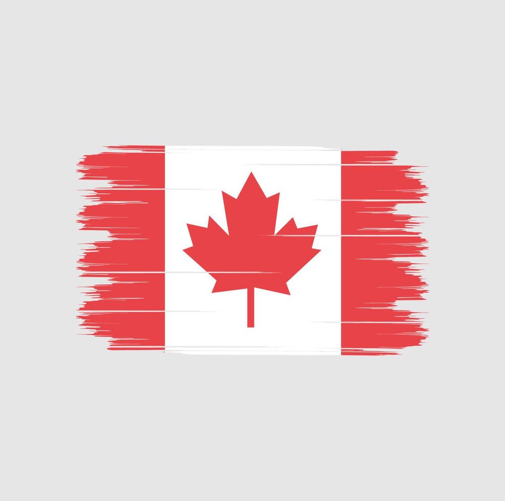 Canadese vlagborstel vector