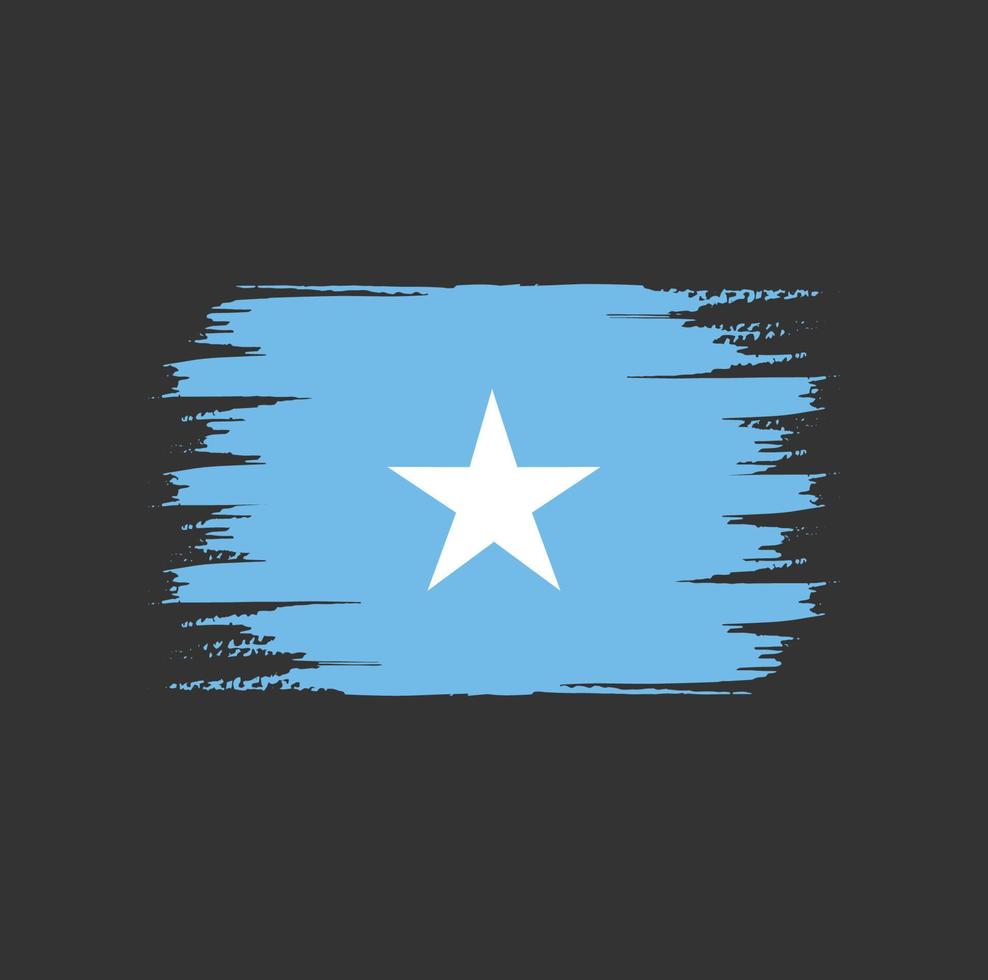 vlagborstel van Somalië vector