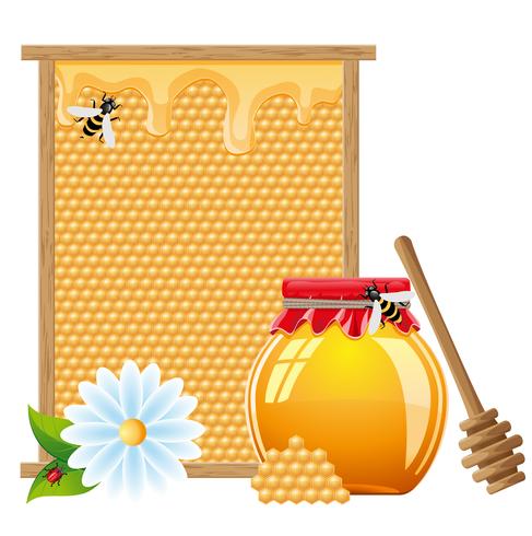 natuurlijke honing vectorillustratie vector