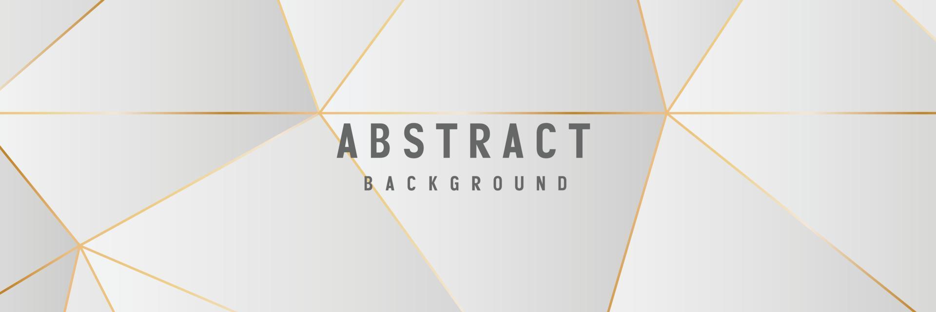 banner abstracte geometrische witte en grijze kleur achtergrond vectorillustratie. vector