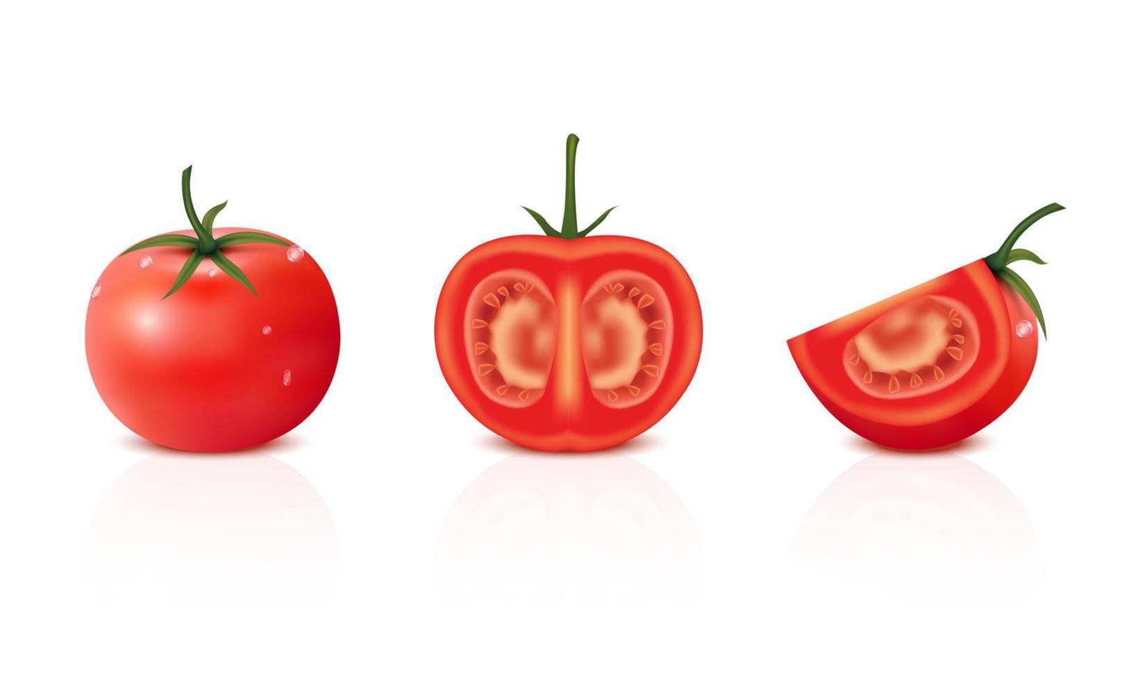 verse tomaat. hele en halve gesneden tomaten geïsoleerd op een witte achtergrond. plantaardig, vegetarisch, veganistisch gezond biologisch voedsel. realistische 3D-vectorillustratie. vector