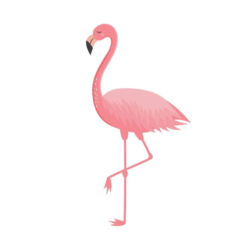 roze flamingo geïsoleerd op een witte achtergrond. exotisch tropisch vogelkarakter. vector