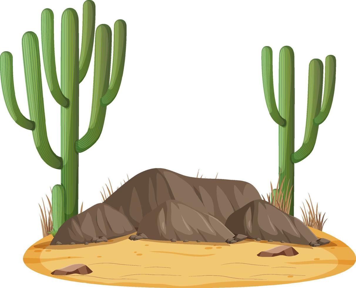 geïsoleerd woestijnlandschap met saguaro-cactus vector