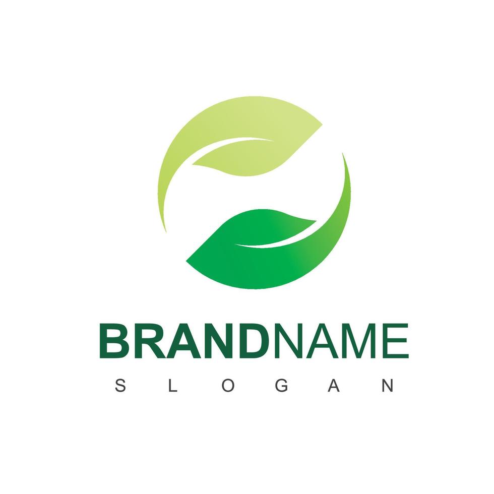 blad logo ontwerpsjabloon vector