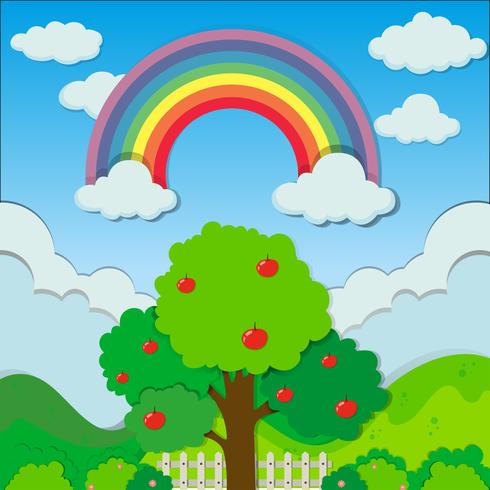 Rainbow over de appelboom vector