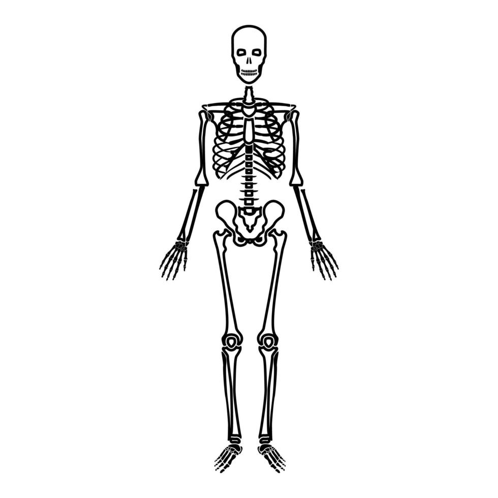 menselijk skelet pictogram zwarte kleur illustratie vlakke stijl eenvoudige afbeelding vector