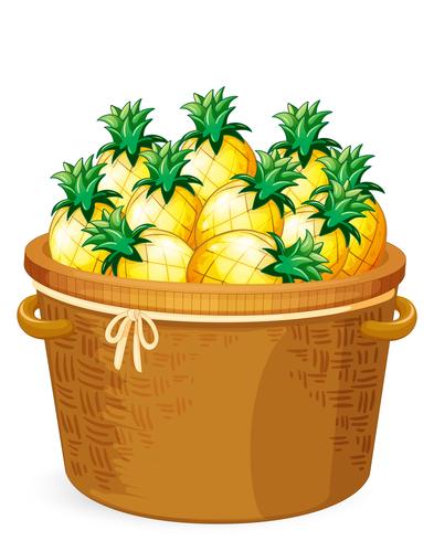 Ananas in de geweven mand vector