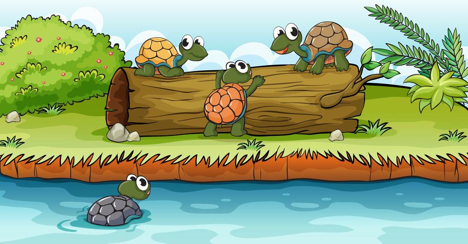 Schildpadden op een droog hout vector
