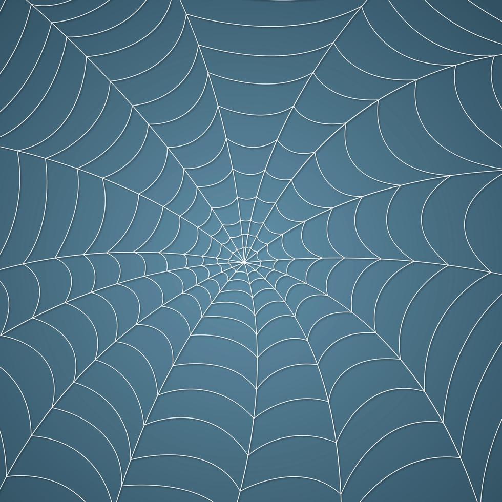 spinnenweb, spinnenweb patroon achtergrond vector
