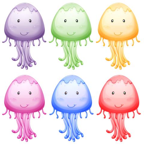 Zes kleurrijke jellies vector