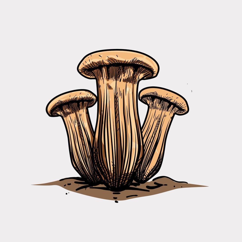 matsutake paddestoel illustratie premium vector