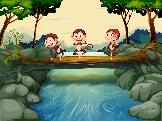 Drie apen die de rivier oversteken vector