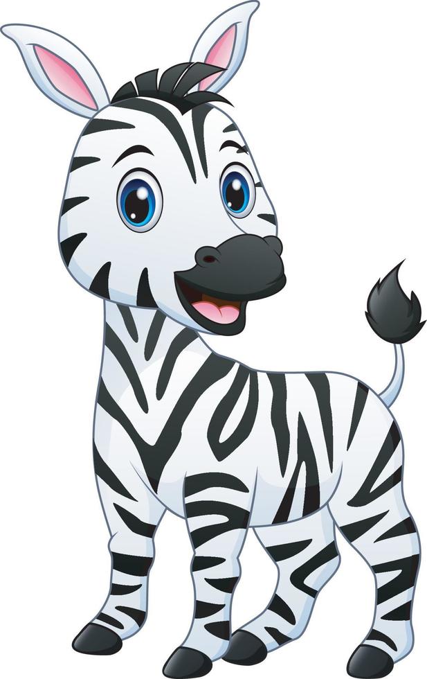 een baby zebra cartoon vector