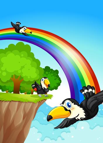 Een regenboog dichtbij de klip met vliegende vogels vector