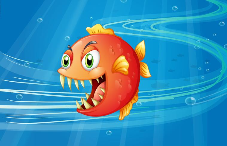 Een rode piranha onder de zee vector