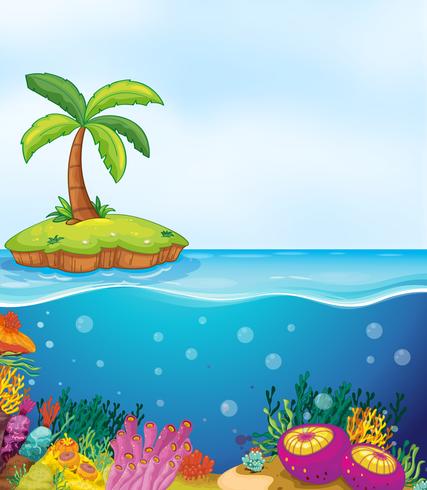 koraal en palmboom op het eiland vector
