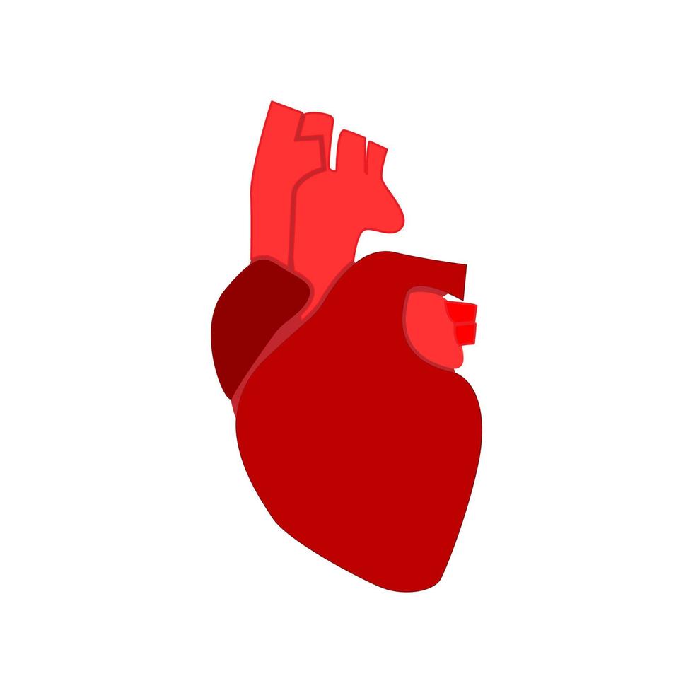 menselijk hart pictogram. andere kleur . vector