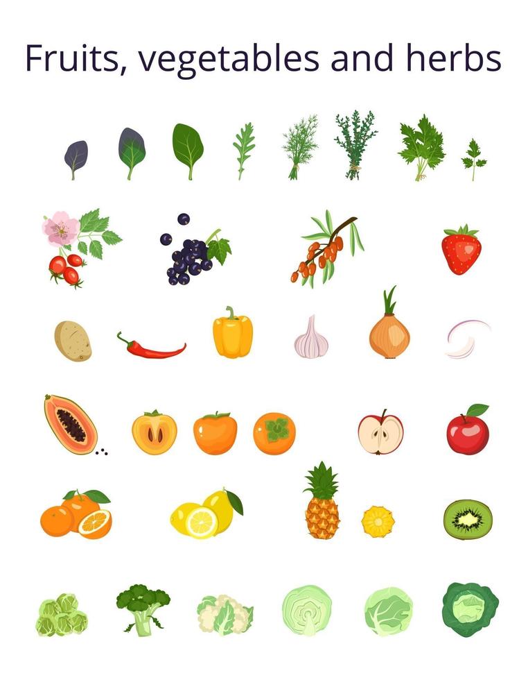 set pictogrammen groenten, fruit, bessen en kruiden voor salade, voedsel. ingrediënten voor vegetarische gerechten. gezonde levensstijl. bron van vitamine c. vector illustratie