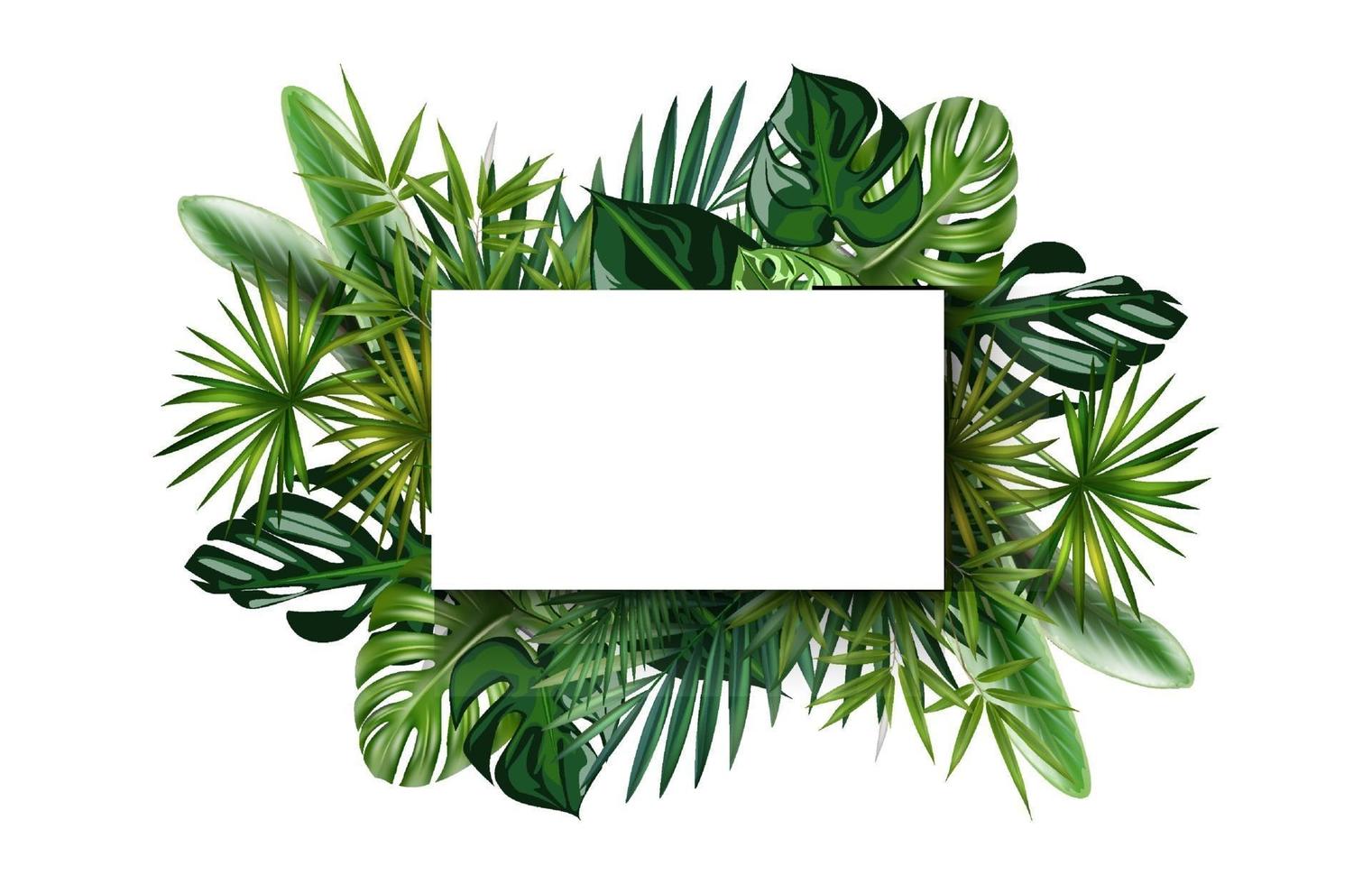 vector afbeelding frame illustratie geassorteerde monstera bananenbladeren en anderen