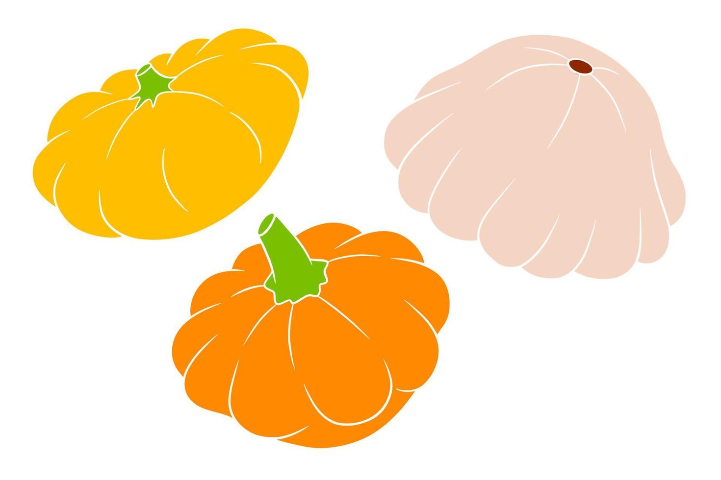 squash set. verse pompoen geel, oranje en beige. vector