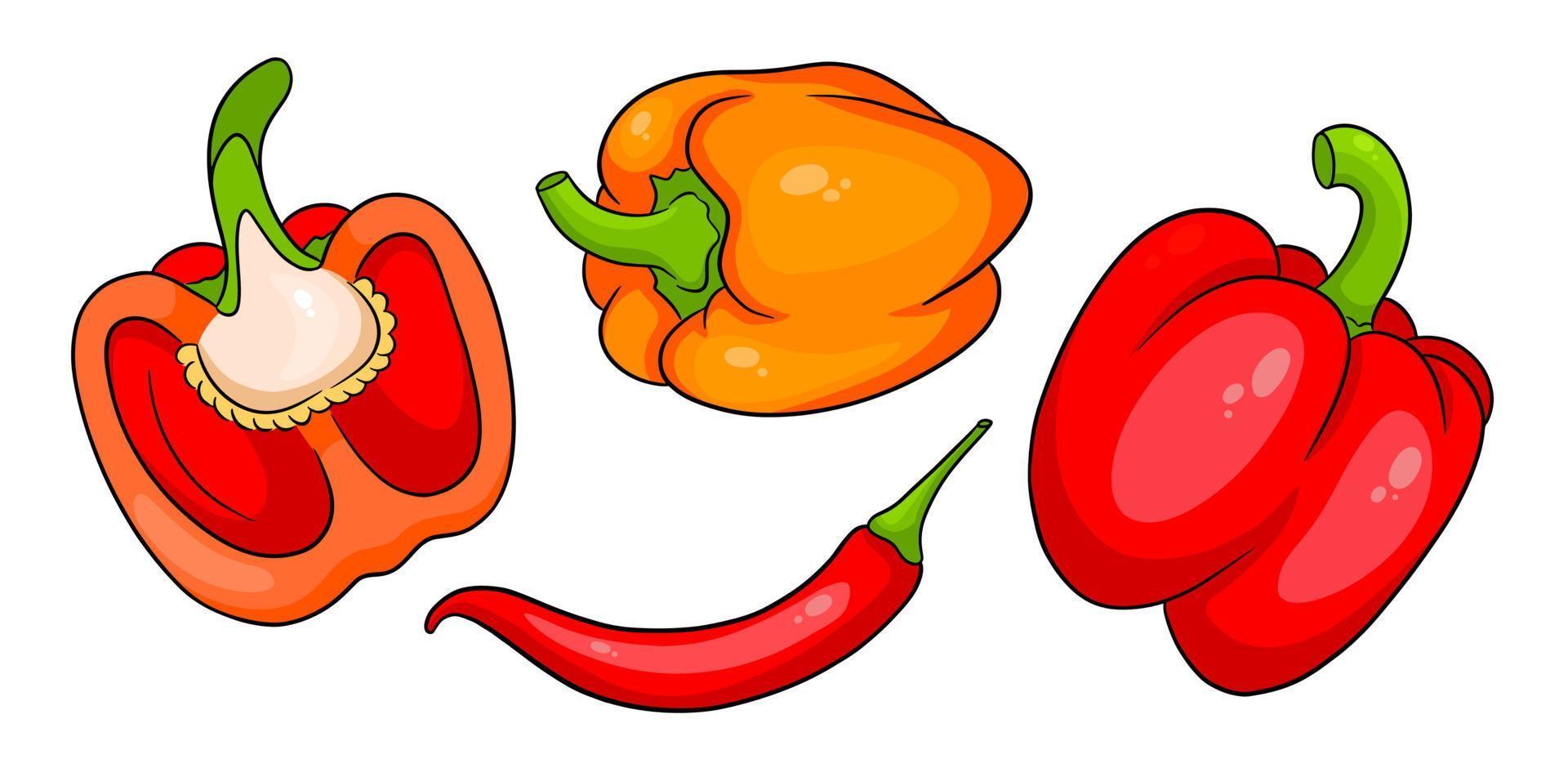 peper set. verse paprika en hete pepers. vector