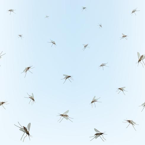Muggen op blauwe hemelachtergrond. Incest patroon. vector