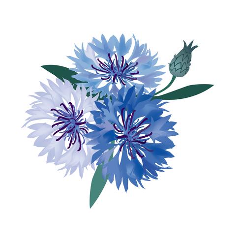 Bloemen boeket. Bloemenlijst. Bloei wenskaart. Zomer decor vector