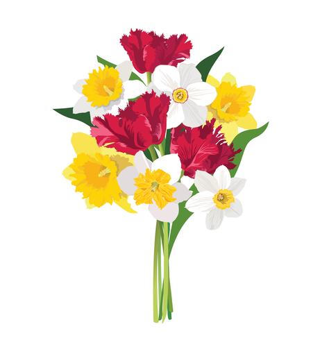 Bloemen boeket. Bloemenlijst. Bloei wenskaart. Zomer decor vector