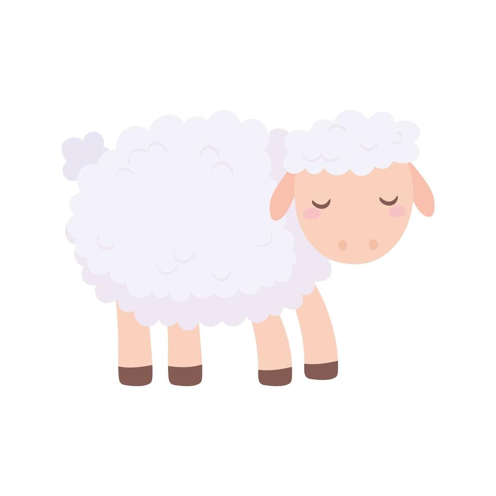 schattige schapen cartoon vector