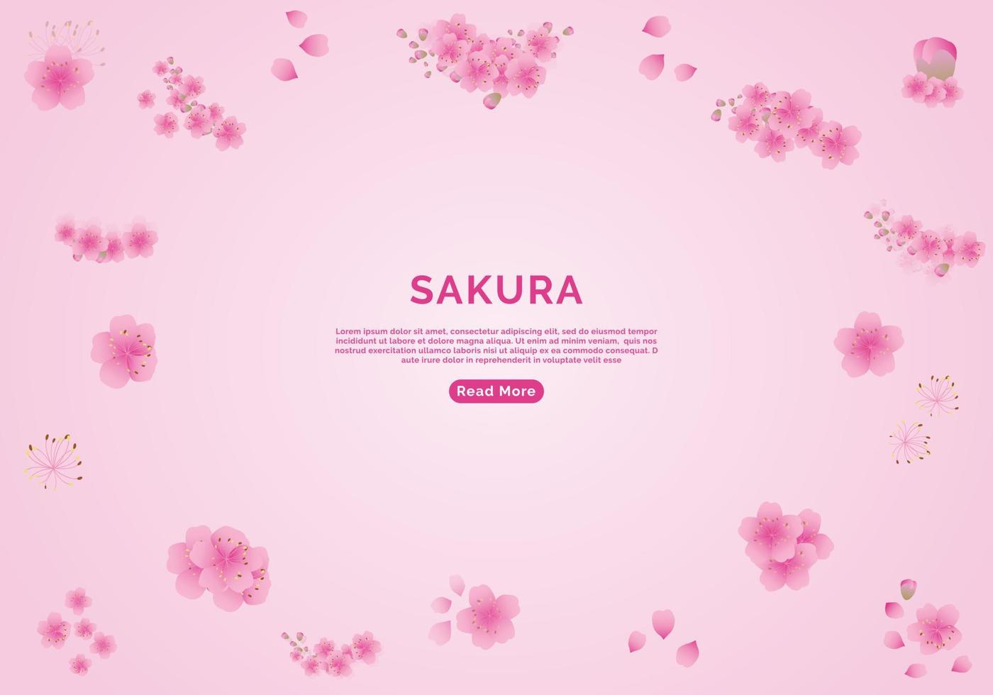 sakura bloemen achtergrond. kersenbloesem geïsoleerde roze achtergrond vector