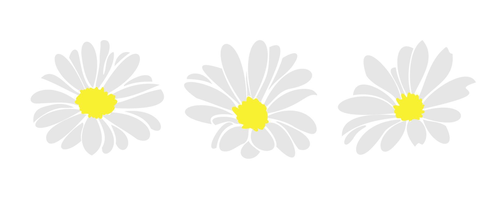 madeliefje bloemen elementen met de hand getekend vector