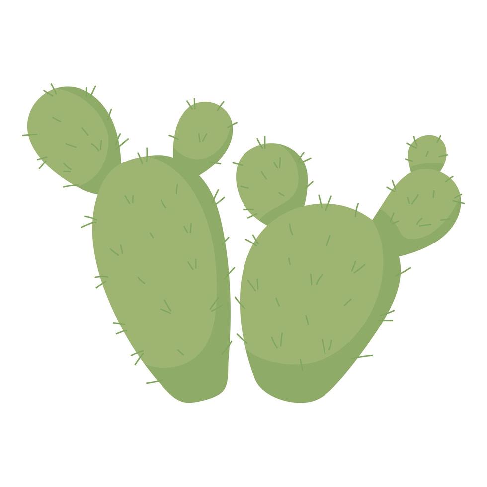 cactus plant aard vector