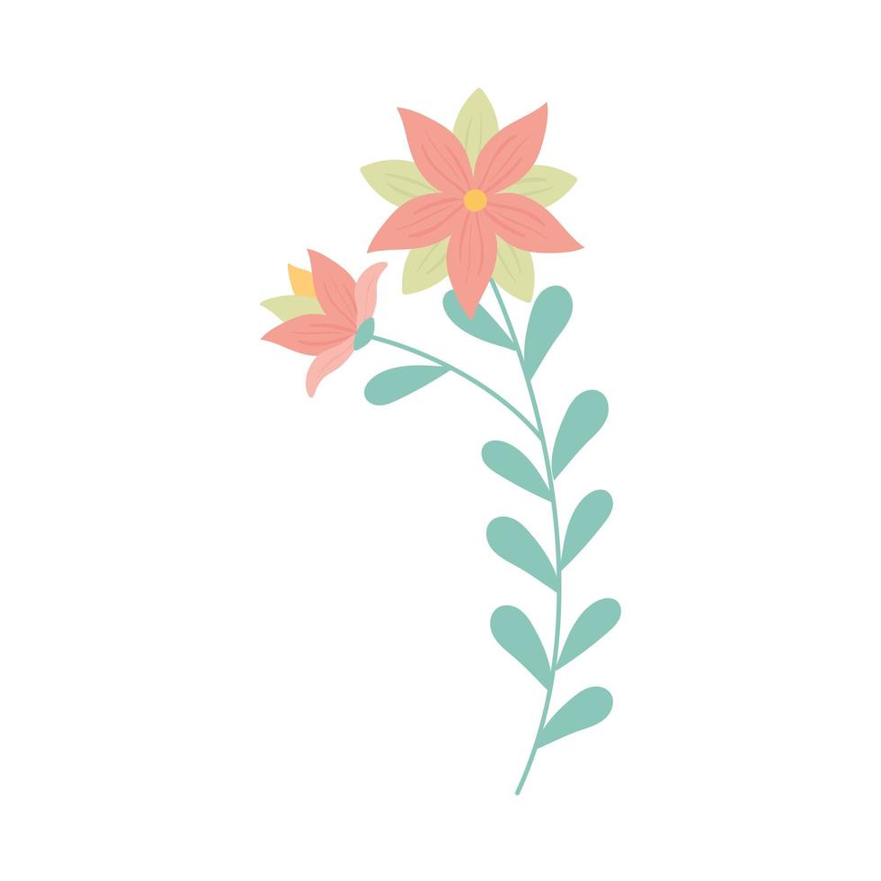 bloemen natuur blad vector