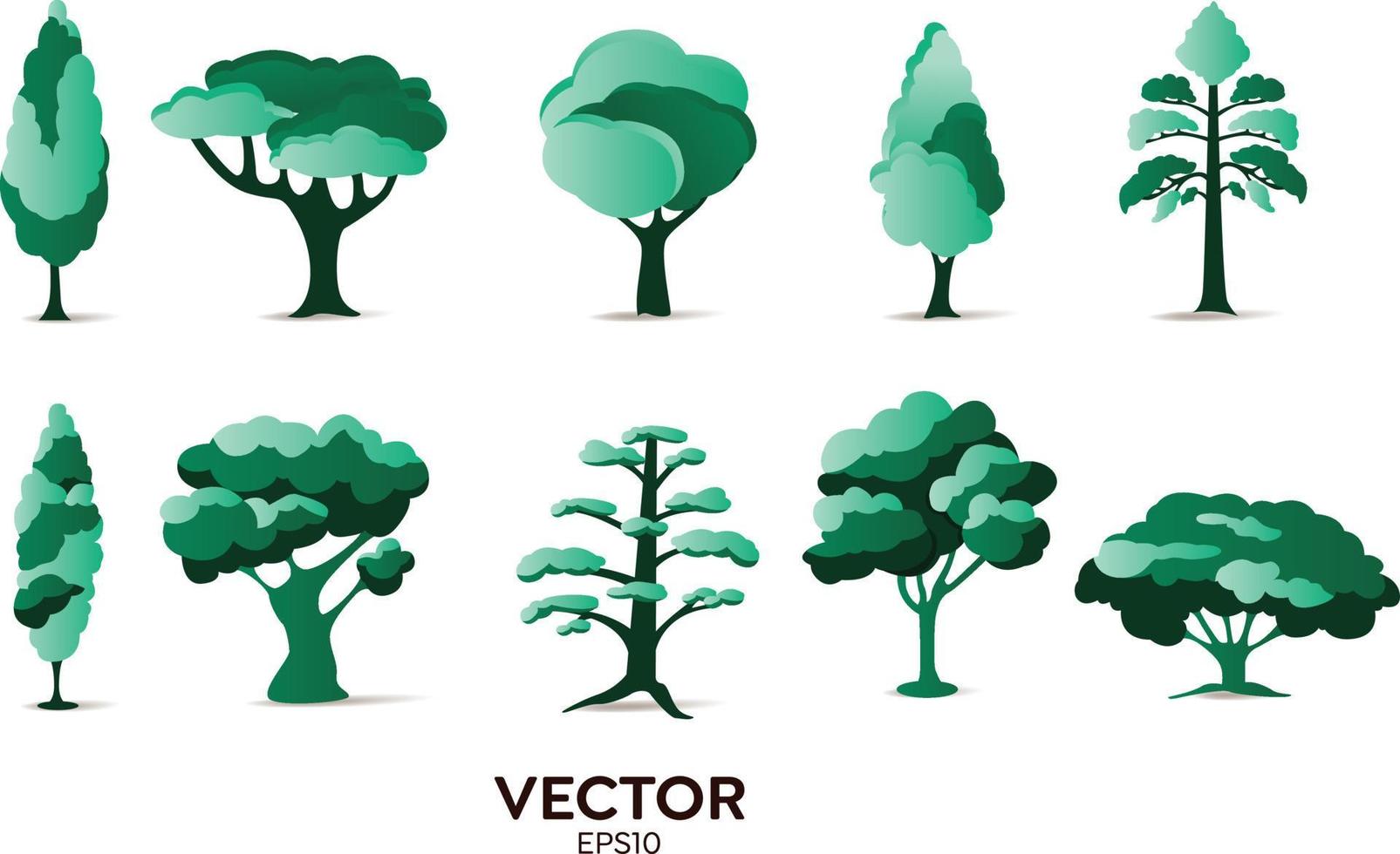 vectorontwerperelementen instellen collectie van groene jungle varens, tropische eucalyptus kunst natuurlijke blad kruiden bladeren in vector stijl. decoratieve schoonheid elegante illustratie voor ontwerp