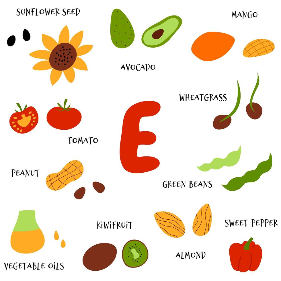 verzameling handgetekende groenten en fruit die rijk zijn aan vitamine e. vector cartoon vlakke stijl