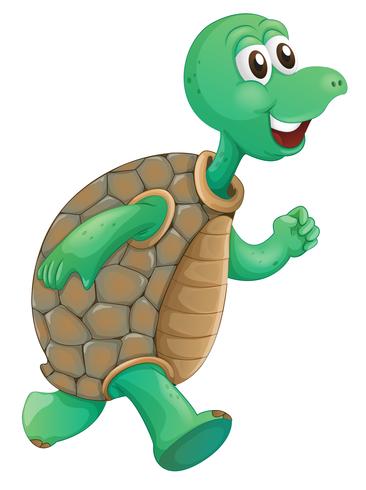 Een oude schildpad loopt vector