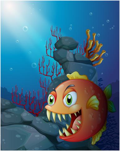 Enge piranha onder de zee dichtbij de rotsen vector