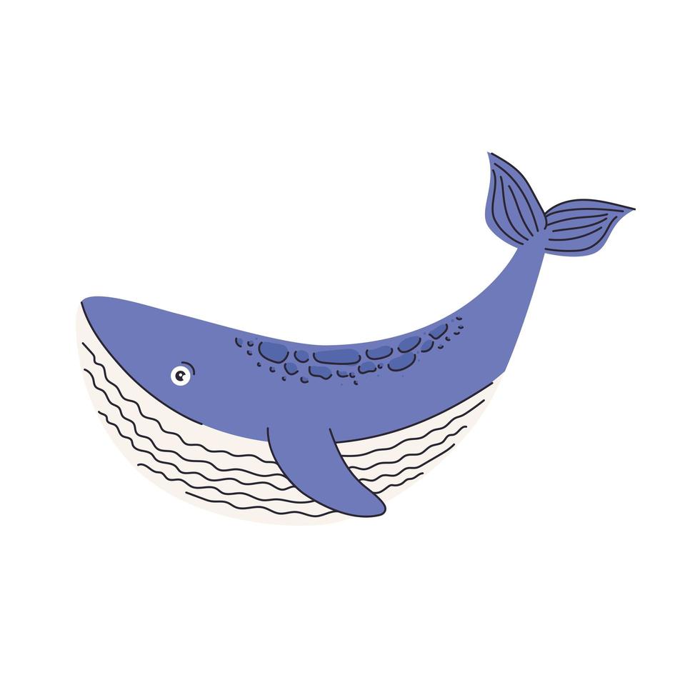 schattig walvis dier vector