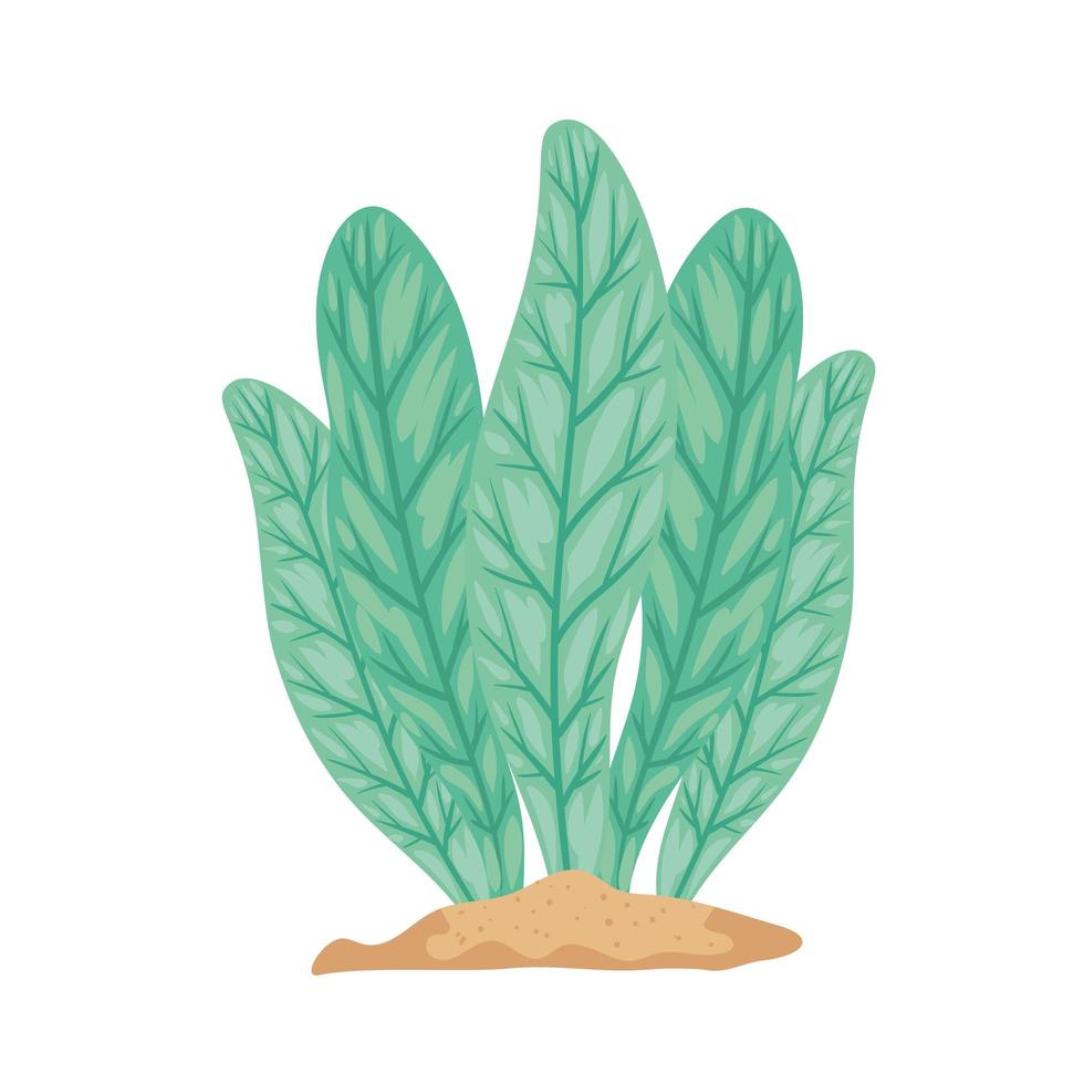 plant zeewier groen vector