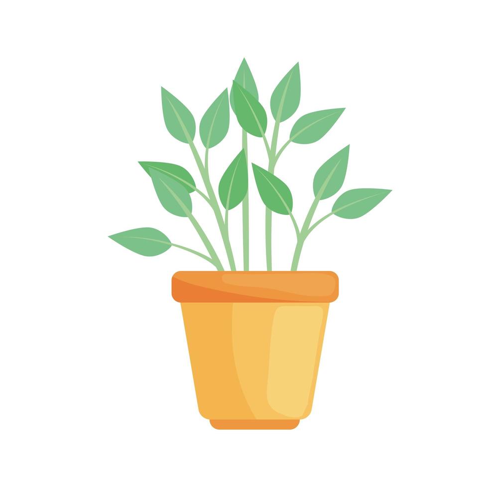 potplant natuur vector