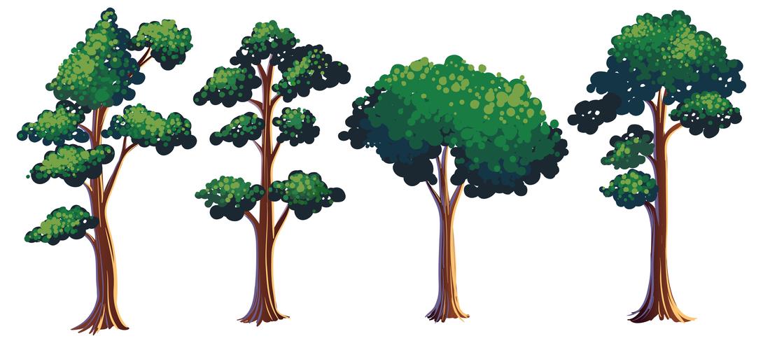 Set van verschillende boom vector