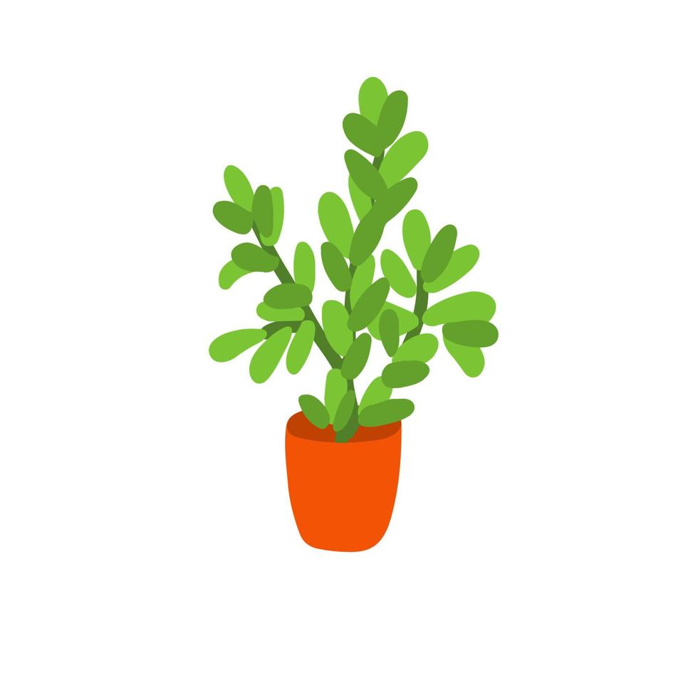 sappige kamerplant crassula ovata in een rode pot. hand getekend een geldboom geïsoleerd op een witte achtergrond. vector