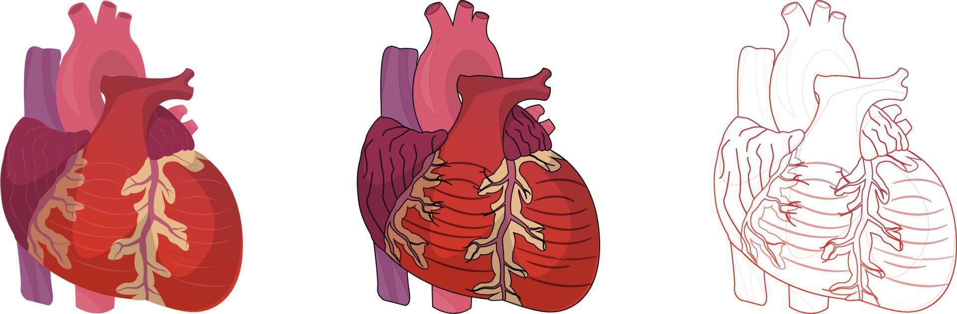 realistische haardillustratie met doodle en tekenboekstijl vector