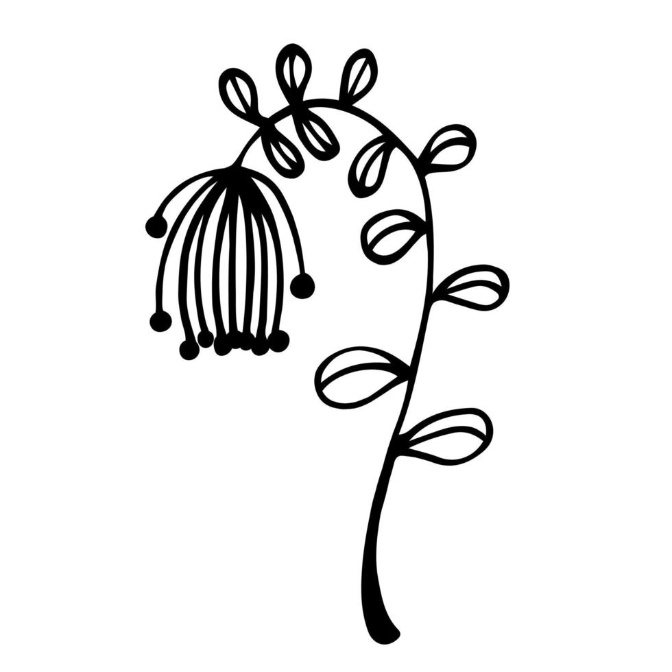 wilde bloem vector pictogram. handgetekende illustratie geïsoleerd op een witte achtergrond. een twijg met geaderd blad en een hangende schermbloemige bloeiwijze. een kruid met ronde bessen. botanische schets.