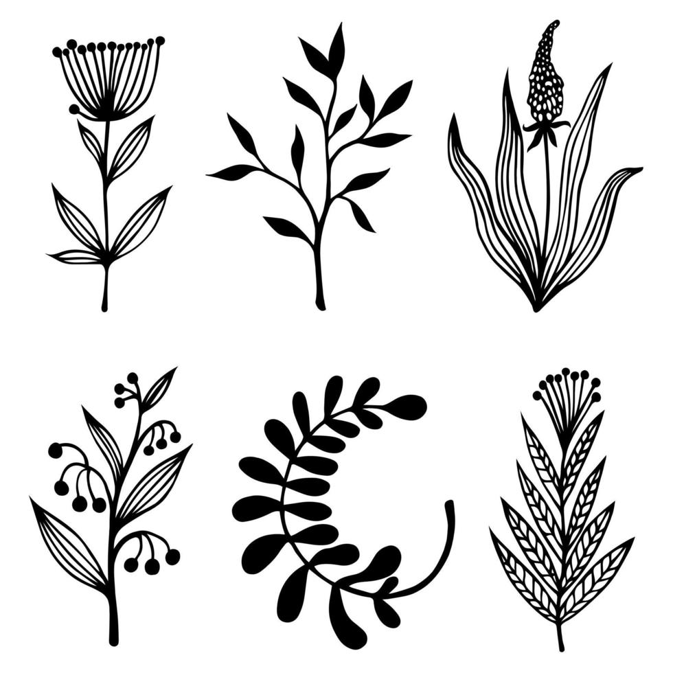 bloemen en wilde kruiden vector set. handgetekende illustratie geïsoleerd op een witte achtergrond. twijgen met bladeren en bloeiwijzen, planten met ronde bessen en zaden. verzameling botanische schetsen.