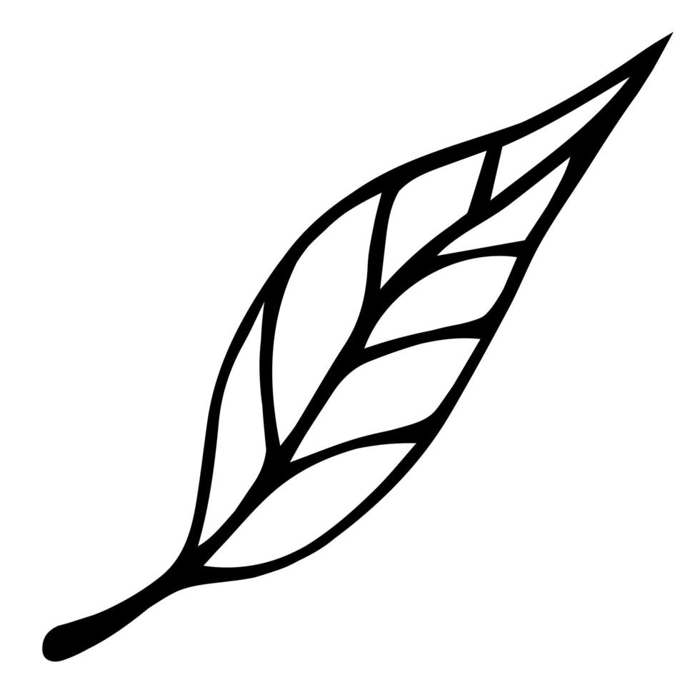 boom blad vector pictogram. hand getrokken doodle geïsoleerd op een witte achtergrond. gevallen herfstblad van berk met aderen. silhouet van gebladerte op een bladsteel. botanische schets. monochroom natuurlijk element.