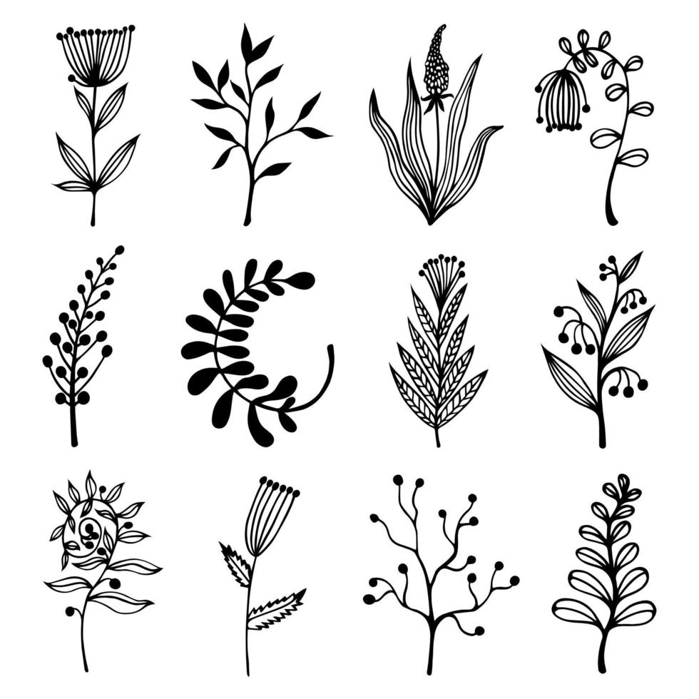 bloemen, wilde kruiden vector set. hand getekende illustraties geïsoleerd op een witte achtergrond. planten met bladeren, takken met bloeiwijzen, bessen. silhouetten van twijgen. botanische schets. monochroom.