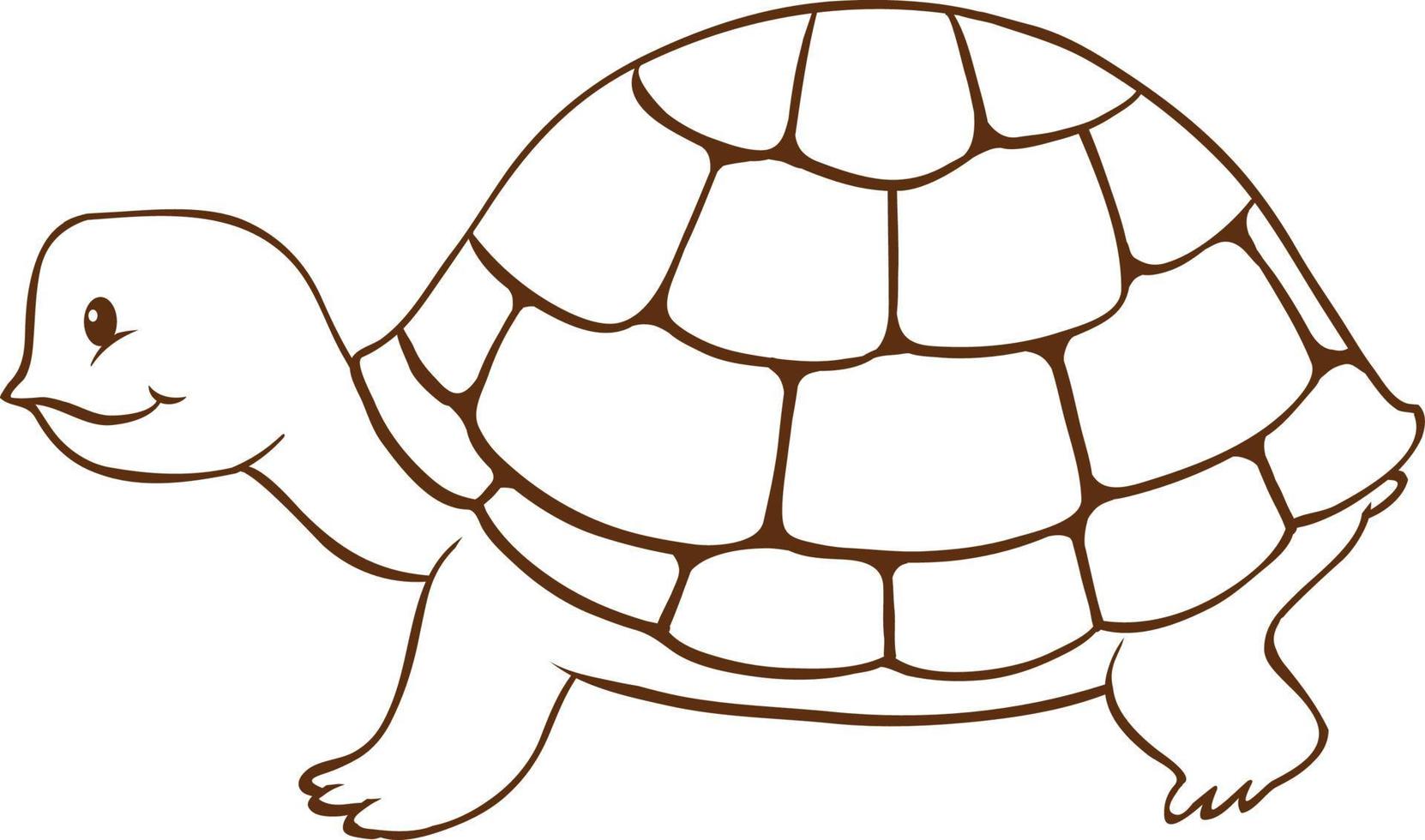 schildpad in doodle eenvoudige stijl op witte achtergrond vector
