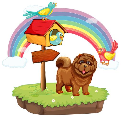 Hond en regenboog vector