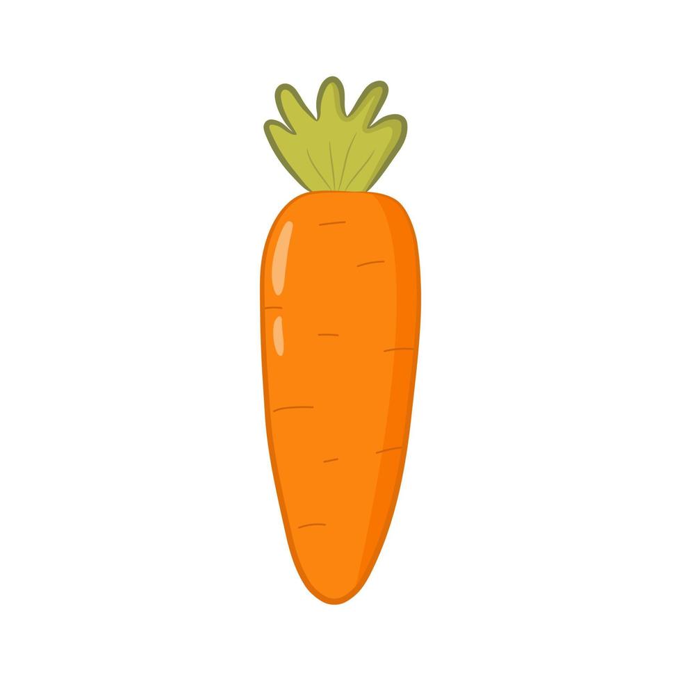 schattige oranje wortel in cartoon-stijl. kleurrijke wortel geïsoleerd op een witte achtergrond. vector illustratie
